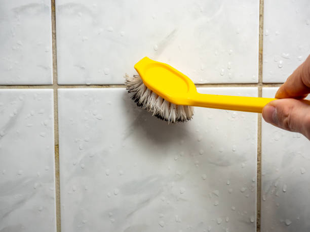 Best Post-Flood Mold Remediation in Winfield, MO