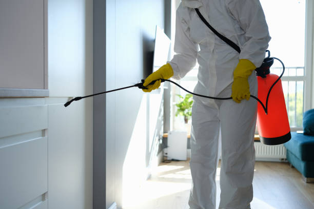 Reliable Winfield, MO Mold Remediation Solutions
