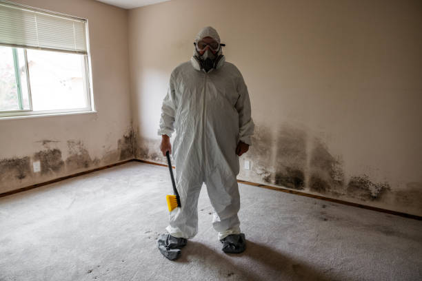 Best DIY Mold Remediation Support Services in Winfield, MO